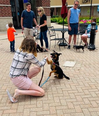 Girl and dog doing trick at The Shoppes at Grand Prairie in Peoria, IL
