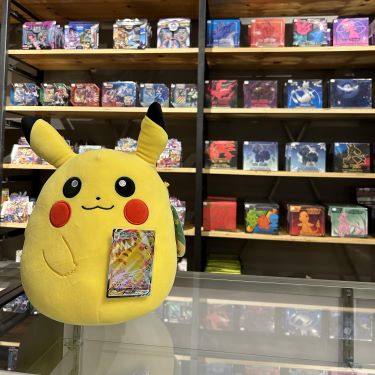 National Pokémon Day icon