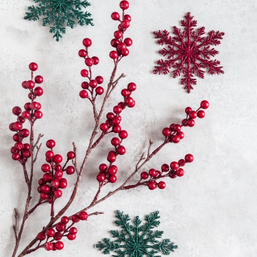 Holi-375x375 – 26 Red holly branch