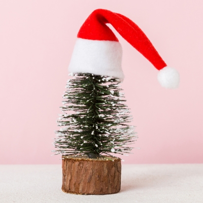 Holi-400x400 – 21 a small Christmas tree wearing a Santa hat