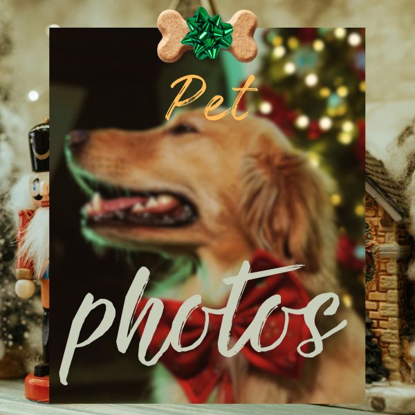 Pet Photo Day with Santa
